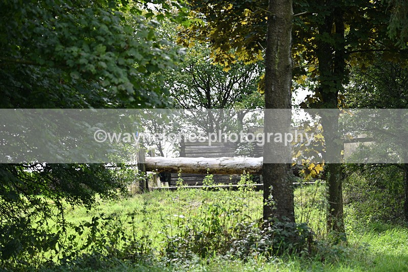 WJ7_7741 - Time 13:50 to 14:03