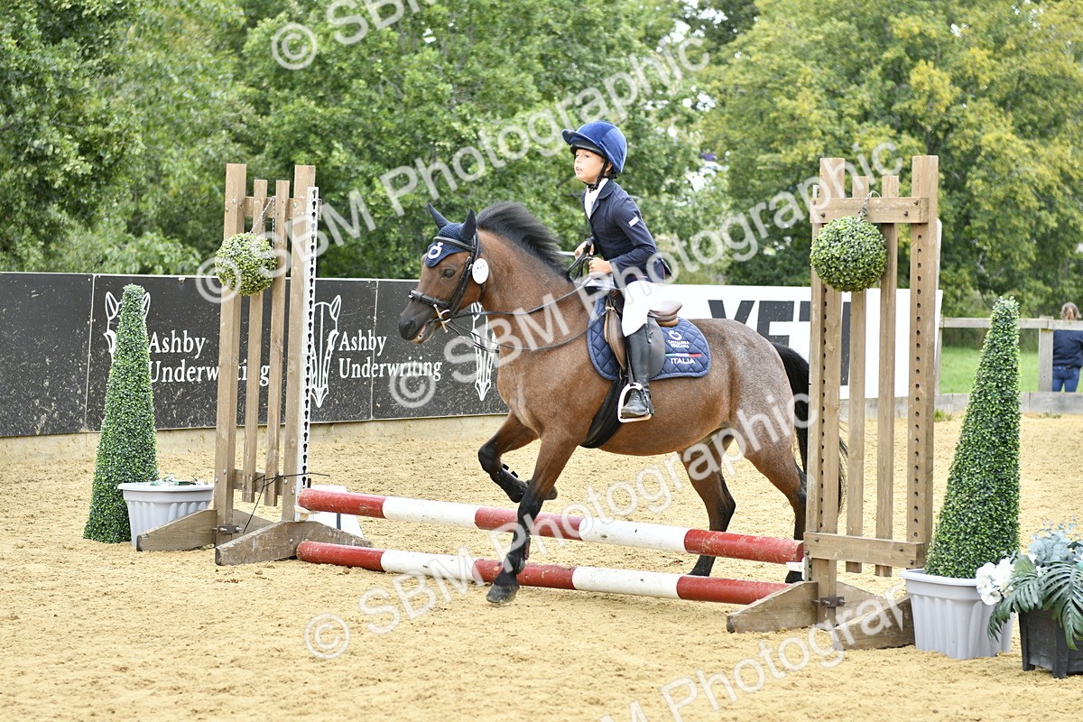 SBM_66166 - J2a mini Tour Junior Pony 30cm Championship