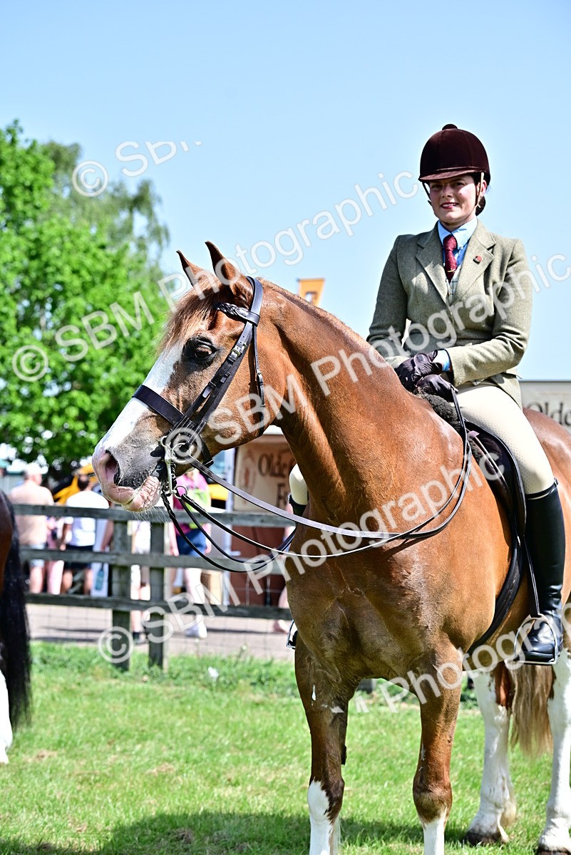 SBM_03789 - Class 58 - TSR  Ridden Veteran Amateur of the year