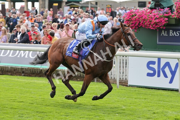 yr18082021r1-61 - Race 1 1.50pm Sky Bet & Symphony Group Stakes