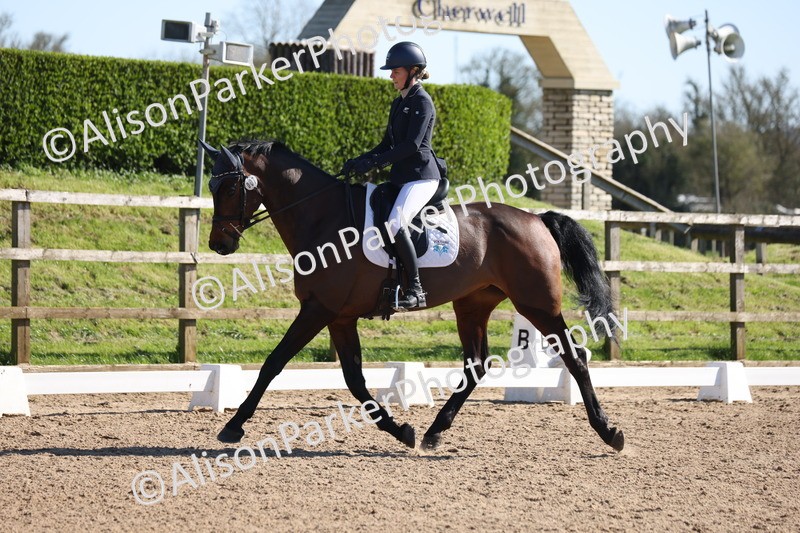 20260318-0564 - Class 5 - Novice 2