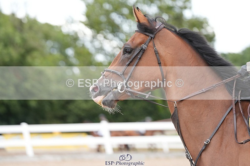 250720-122403-19594 - Cls 28, 1 Star 5yr old Tour Final