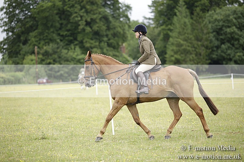 BVR160717-811 - Ring 1 BVRC Show 16/07/17