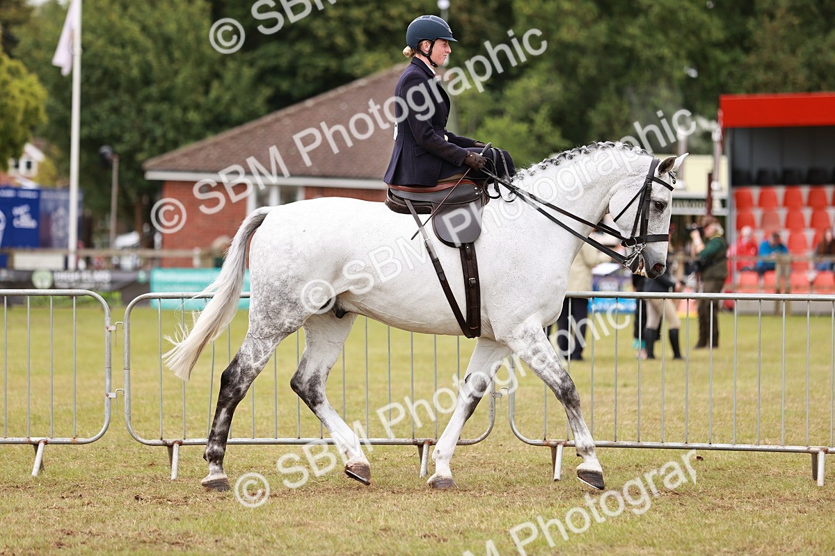 SBM_10964 - Class 81-84 - RIHS Ridden hunters Inc Ladies Hunter