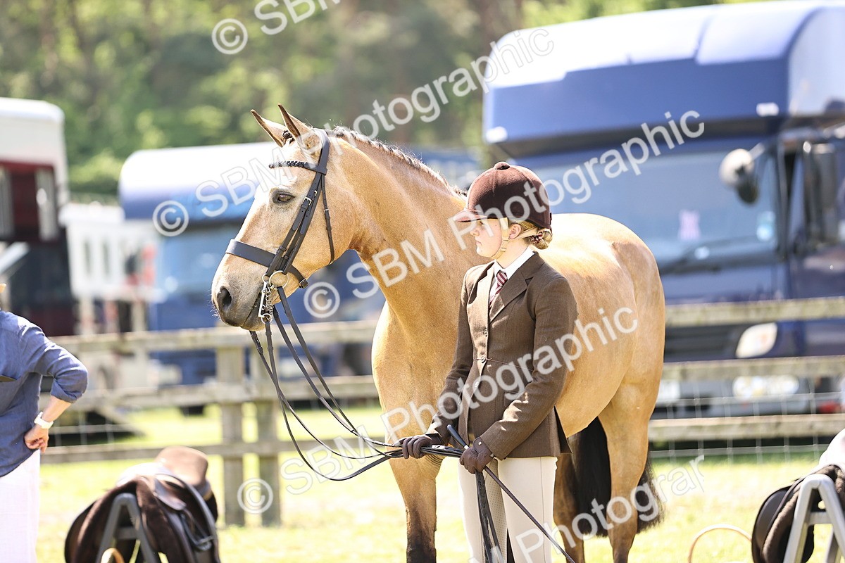 SBM_15186 - Class 79-80 - LIHS BSHA Rising Star Ridden Hunter