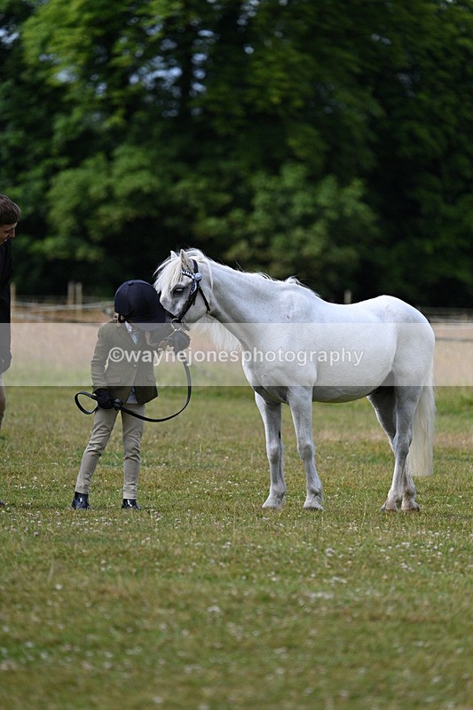 WJ7_4540 - Class 1 Lead Rein Pony