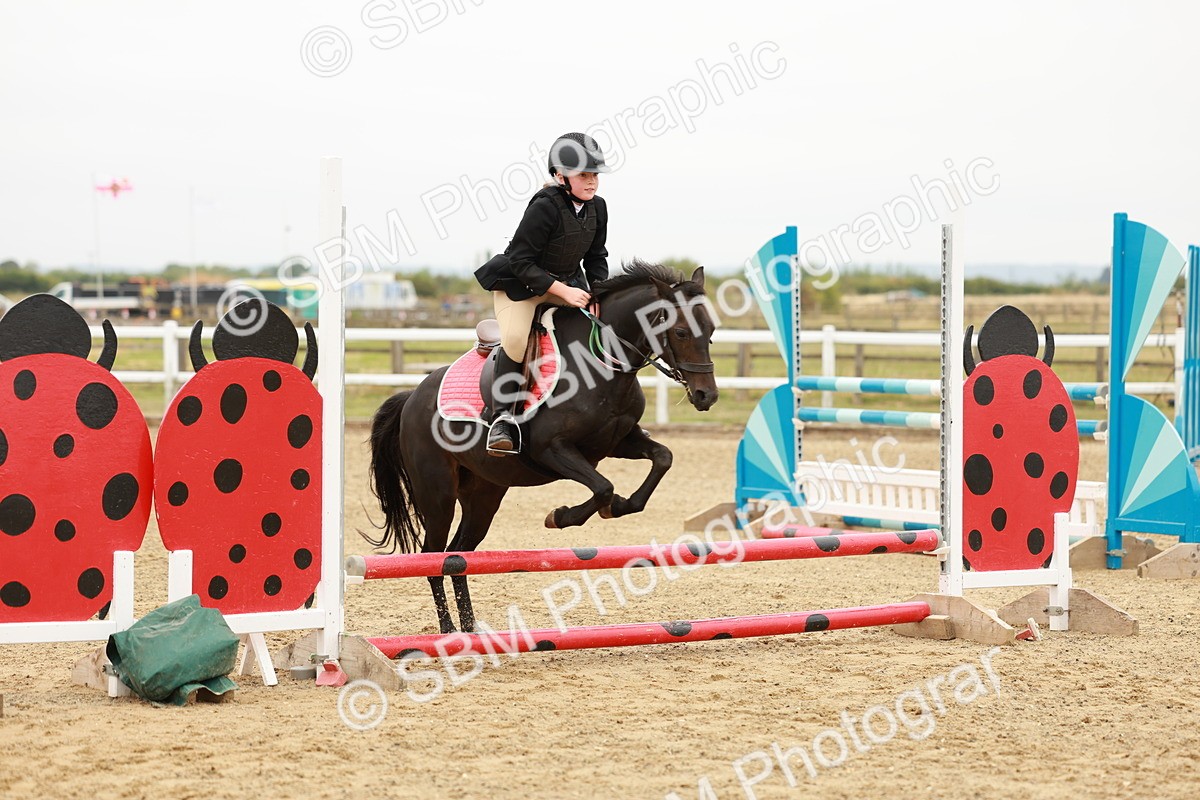 SBM_007210 - Class 2 - 50cm