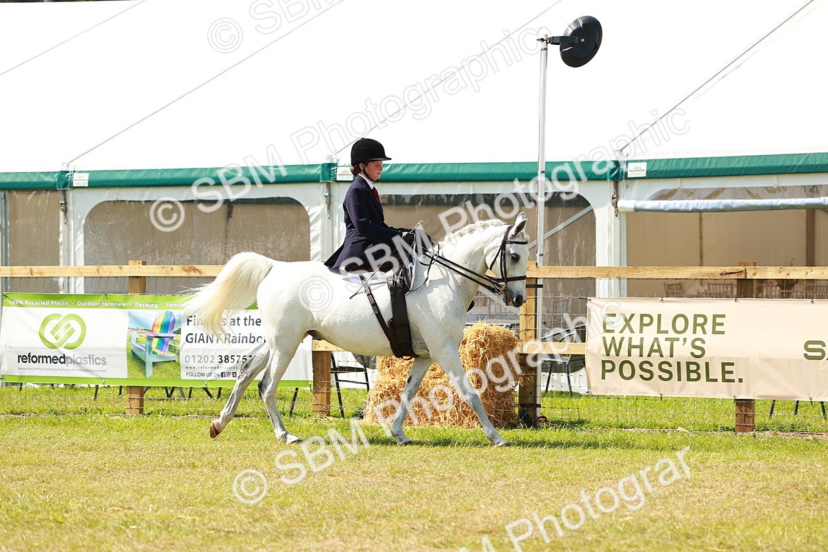 SBM_13319 - Class 70-71 - Side Saddle