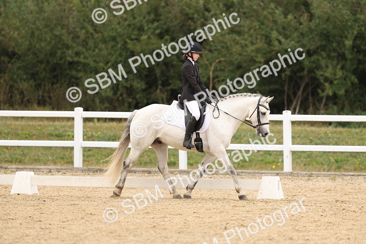 SBM_01071 - Class 8 - Novice 27 Champs