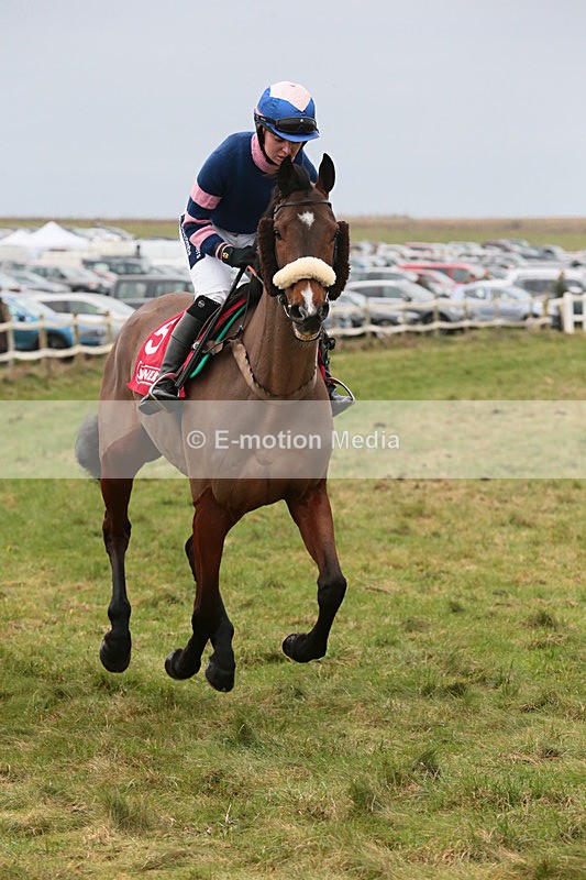 PtP 060119 91 - Larkhill Racing Club - Point-to-Point- 06/01/2019