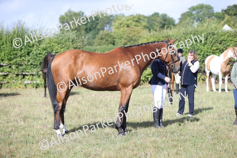 20250831-1404 - Class 21 - Inhand Open