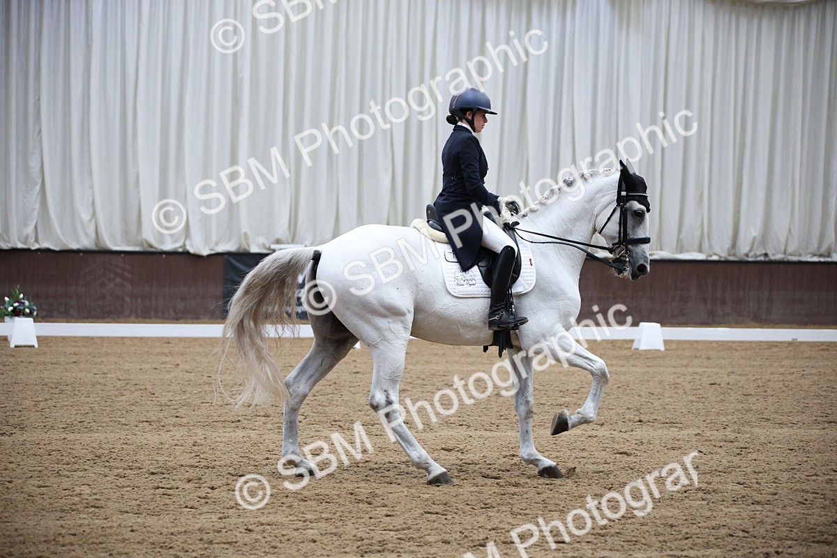 SBM_008057 - Class 12 - FEI PSG 14.46-15.50