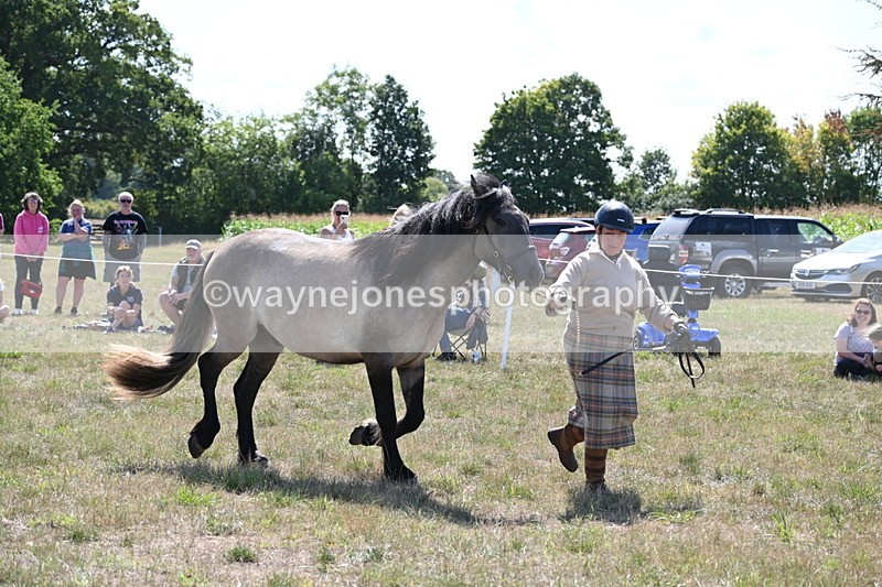 WJ6_4991 - Class 17 Mountain & Moorland