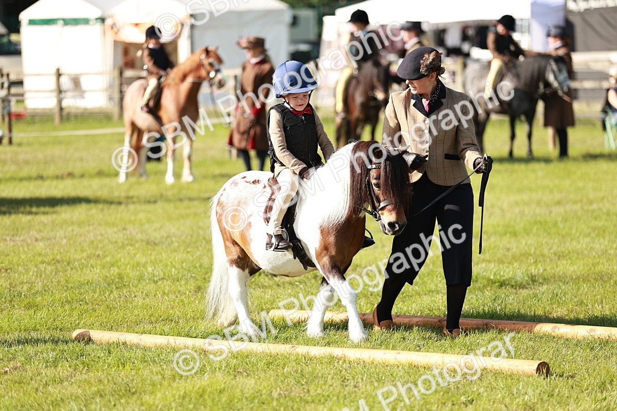SBM_11180 - Class 106-107 - BSPS LIHS Working Sports Pony