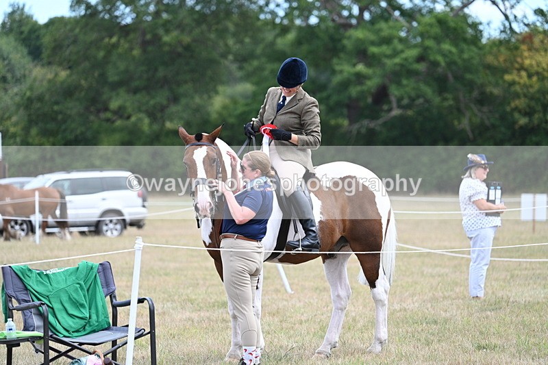 WJ7_5697 - Class 12 Ridden Cob