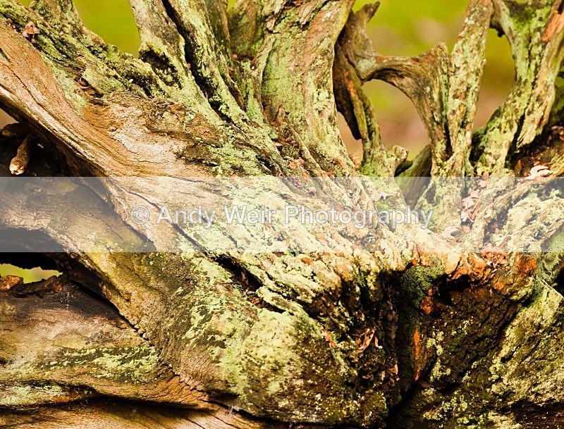 20111022-_MG_6766 - Miscellaneous Photographs