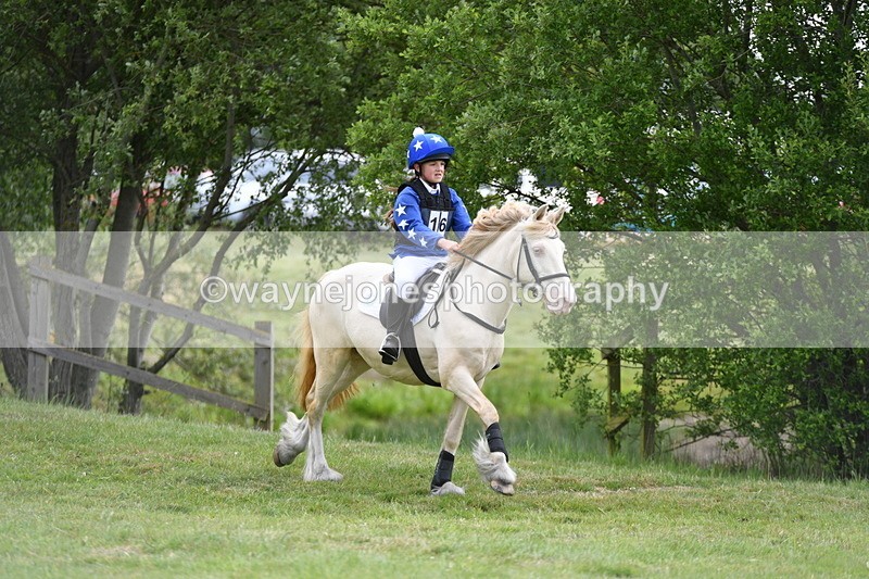 WJ5_2709 - Class 2 40cm