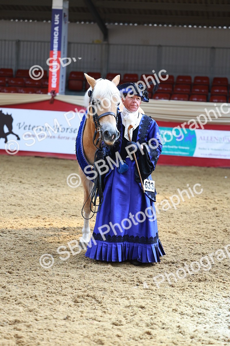 SBM_13675 - Class 104 - IH  Costume
