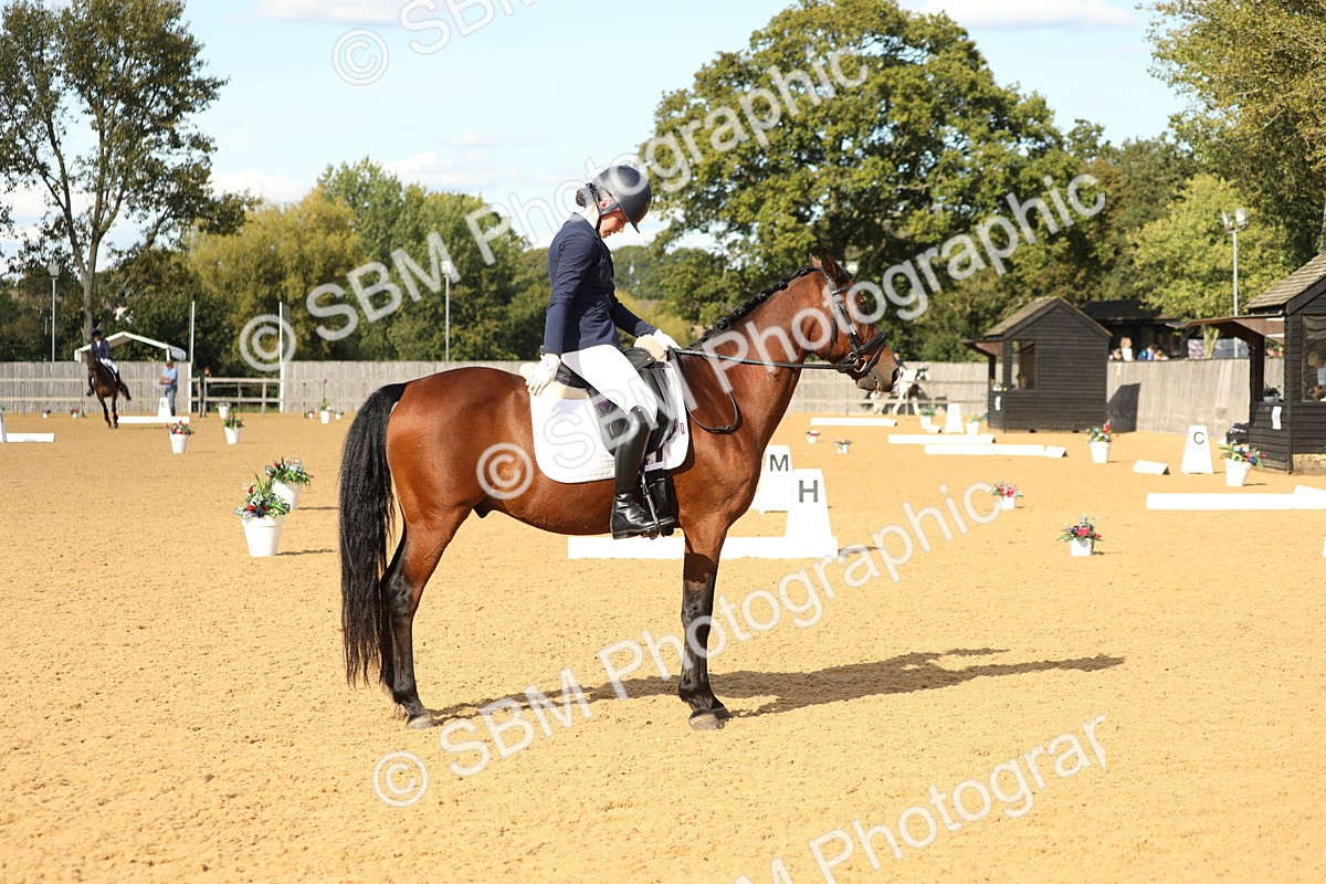 SBM_26648 - D17 - Grand Tour Championship - Novice 27