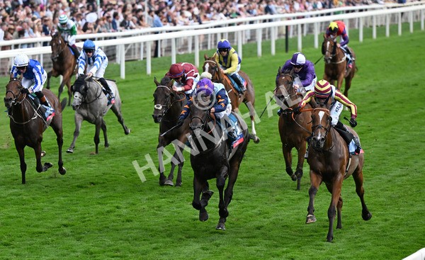 230825-278 Dain Ma Nut In - Race 7 5.20pm Sky Bet Steve Birch Finale Handicap