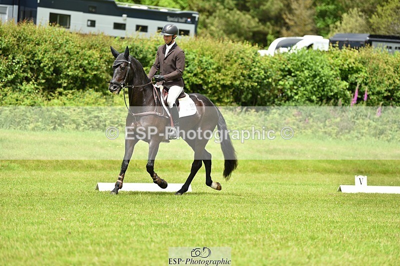 240523B-124218-02222 - 5 Year Old