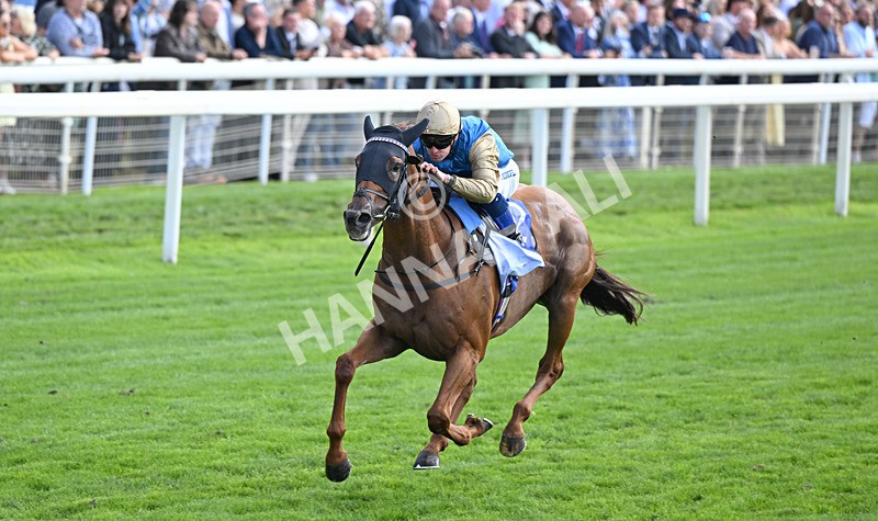 220826-005 Archivist - Race 1 13.50pm Sky Bet Strensall Stakes