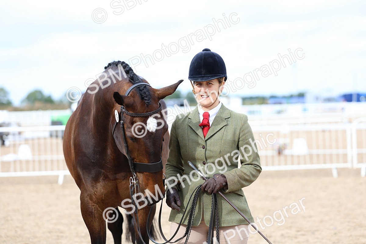 SBM_05765 - Class 28 - IH Veteran Horse