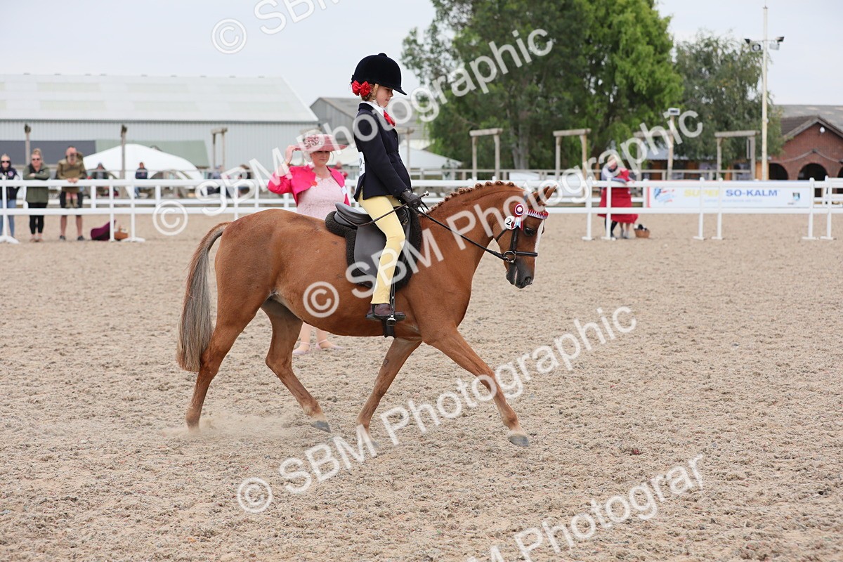 SBM_18154 - Class 316 Best Pony/Rider Combination