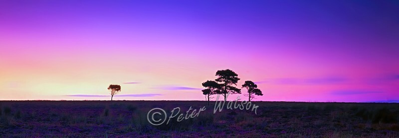 North Yorkshire Moors England - Sky