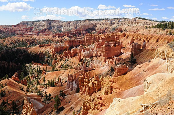 Image #12 - Bryce Canyon National Pk.- 2011