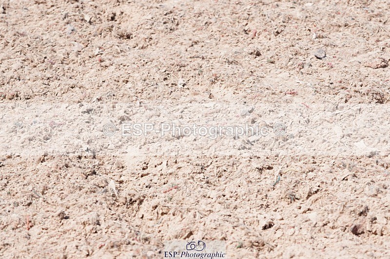 250503-135220-01186 - Cls 27 Stepping Stones