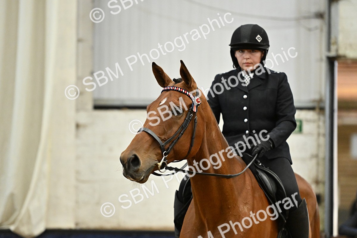 SBM_001997 - Class 24 - BSHA Ridden Racehorse to Show Horse
