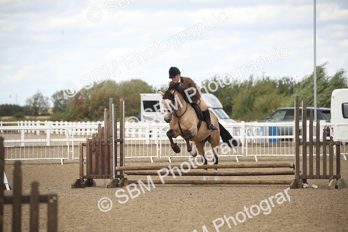 SBM_14561 - Class 505a - M&M Working Veteran - 50cm (15-19)