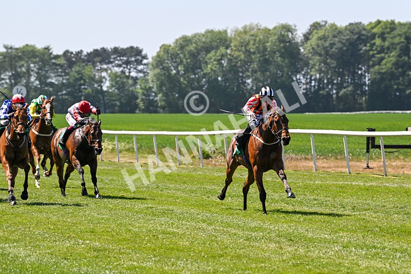 170525-Race 2-Kodiac Thriller-7973 - Race 2