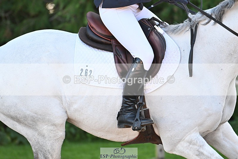 231022-105040-23495 - 262-GOOD.BOY.ALEX-Tara.Jefferies-SJ