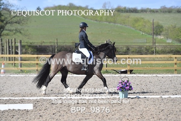 BPP_9876 - TEAM QUEST PRELIM 3