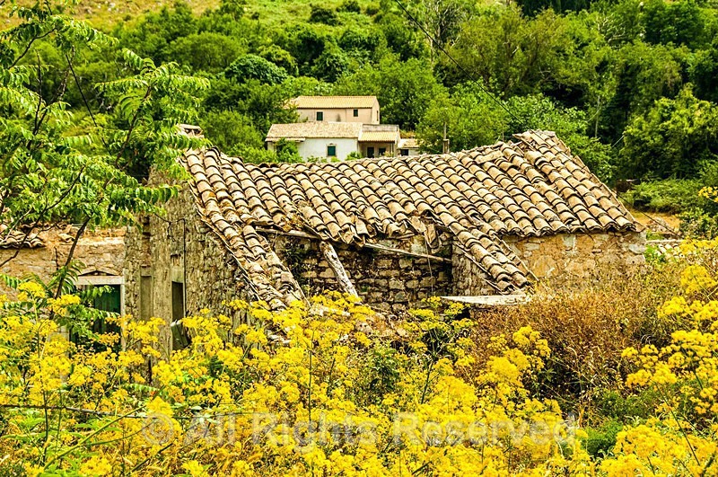 Architecture1038 - Latest Additions