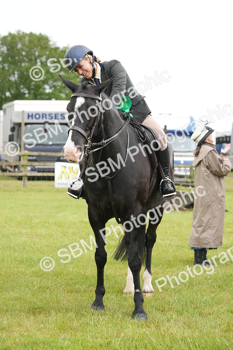 SBM_12815 - Class 97-98 - LIHS BSHA Rising Star Working Show Horse Hunter