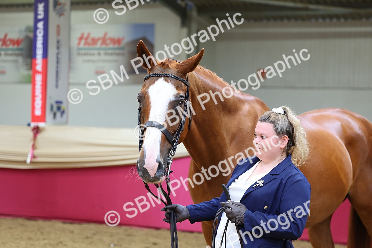 SBM_22884 - Class 903 - Supreme Final - IH Pre Vet