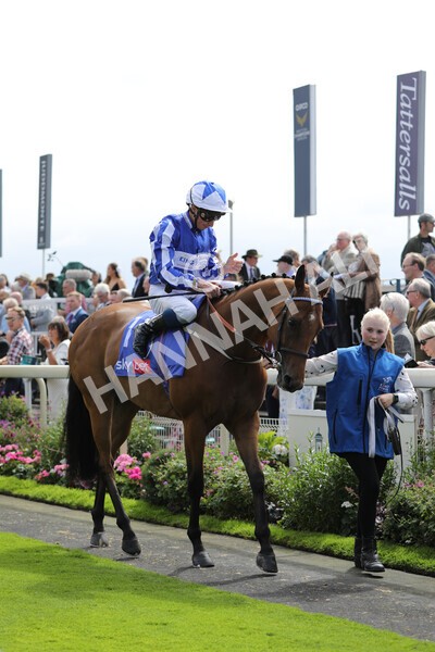 yr17082022r1-032 - Race 1 1.50pm Sky Bet & Symphony Group Stakes