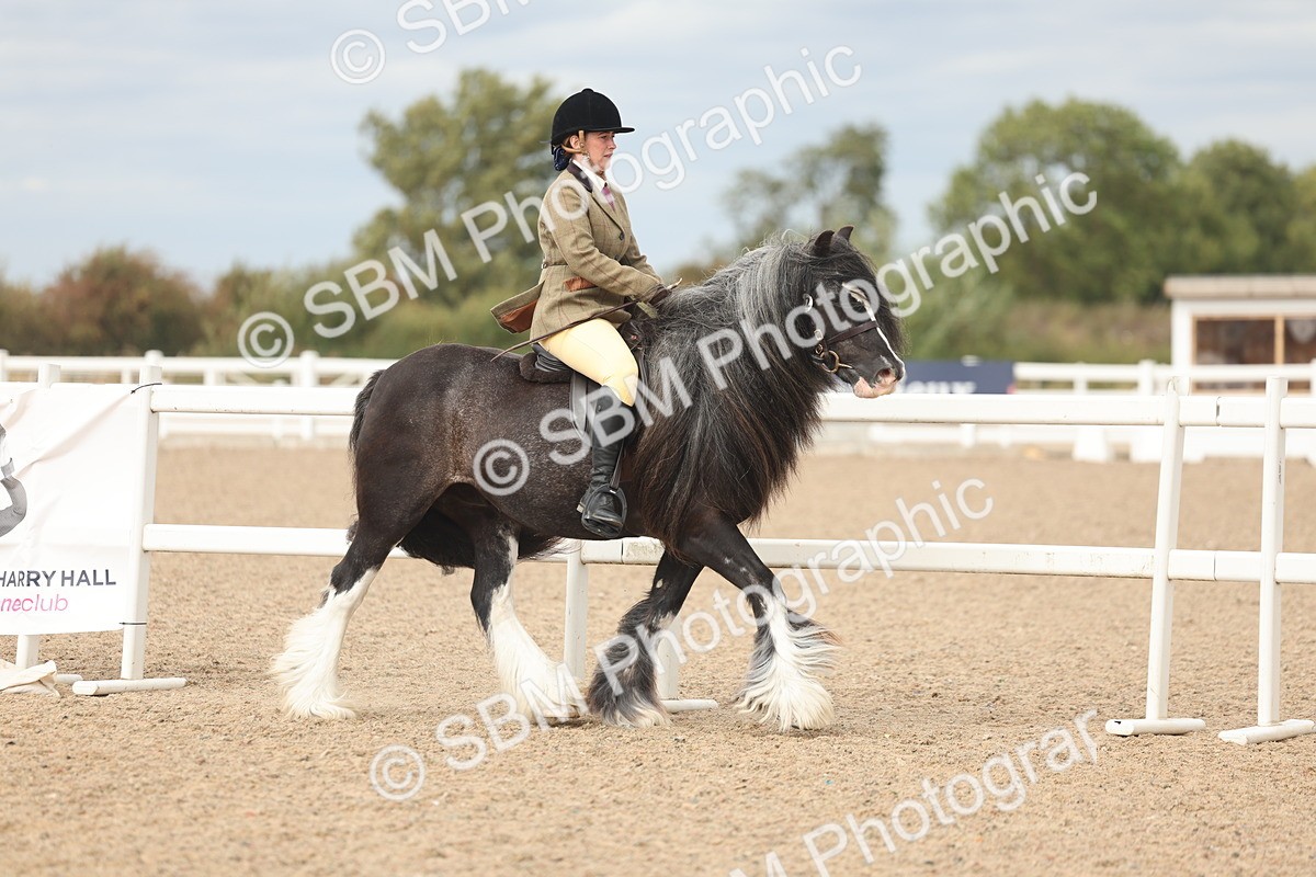SBM_17979 - Class 314 - Family Horse Pony