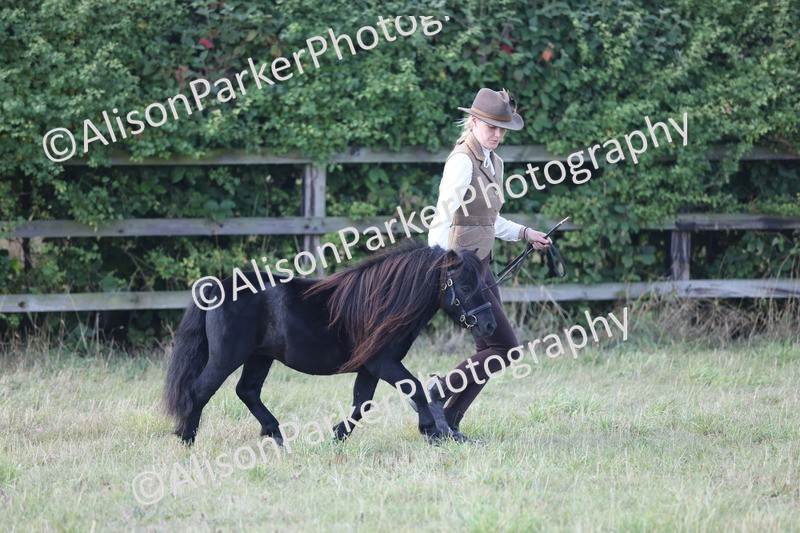 20250831-1620 - Class 22 - Mountain and Moorland Inhand