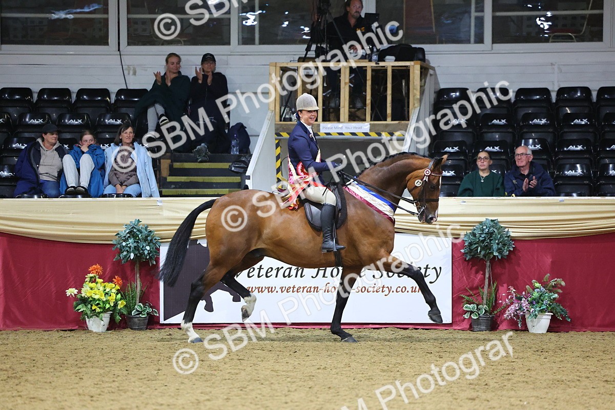 SBM_19190 - Class I Competition/ Riding Club Champ