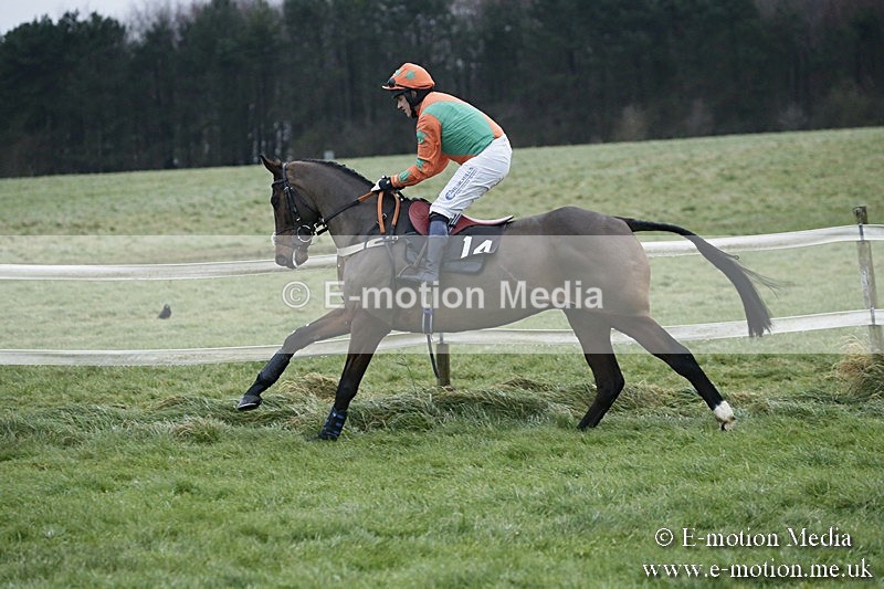 PtP 031217 846 - Hursley Hambledon Point-to-Point Larkhill 03/12/17