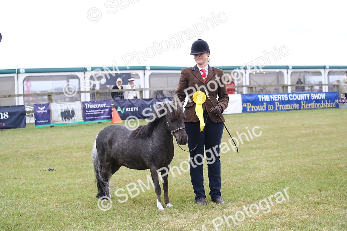 SBM_04020 - Class 23-25 - British Miniature Horse of the Year