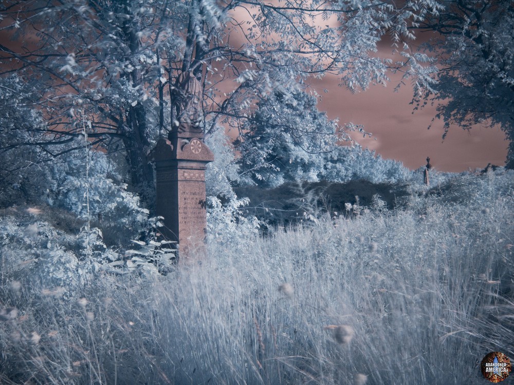  - into the wilderness