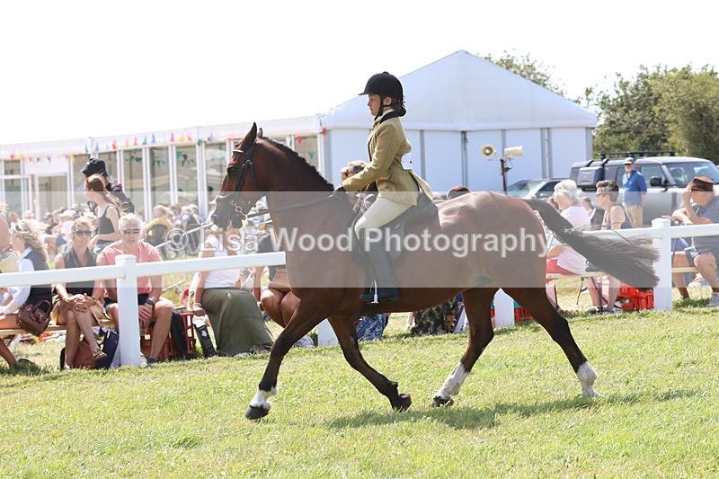 JPP_3359 - Class 22: Working Hunter 70cm