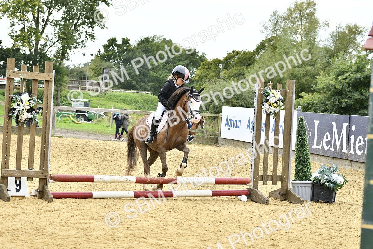 SBM_65550 - J2a mini Tour Junior Pony 30cm Championship