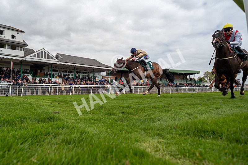 240424-Race 2-Restless Prince-7781 - Race 2