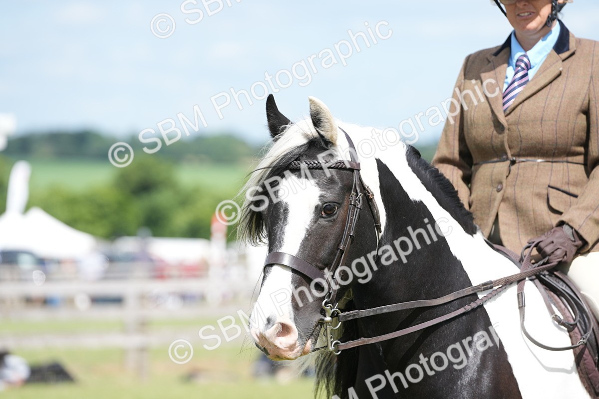SBM_17269 - Class 107-108 - LIHS BSPS Performance Coloured Horse Pony